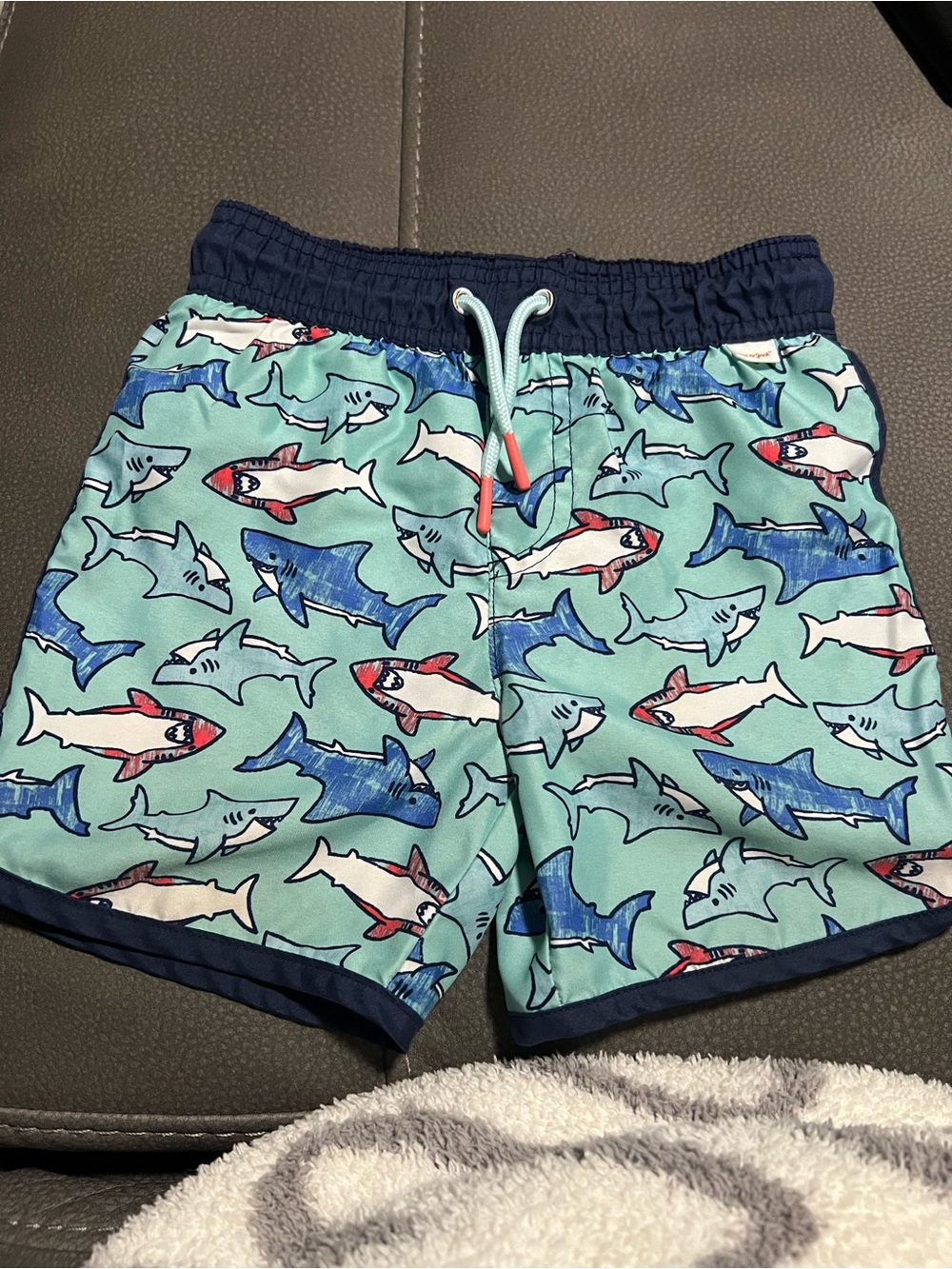 Cat & Jack 3T Kids Shark Print Swim Shorts in Aqua